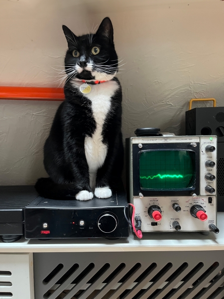 Venus de Meow Meow, Spike and Krysia’s cat, sitting on top of a warm amplifier. Next to her is a vintage Telequipment Oscilloscope S51E (1979), 