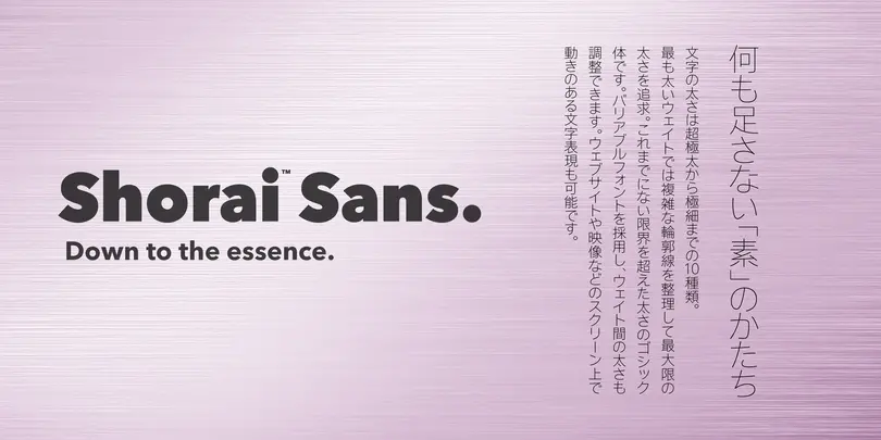 Shorai™ Sans Shorai™ Sans